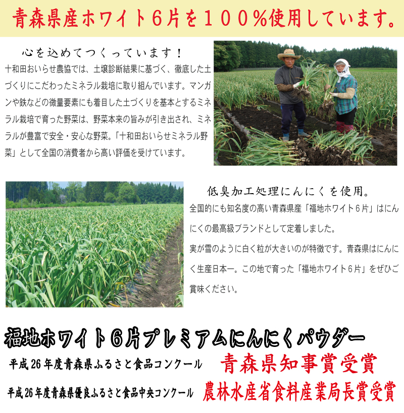 契約栽培,低臭にんにく,福地ホワイト６片